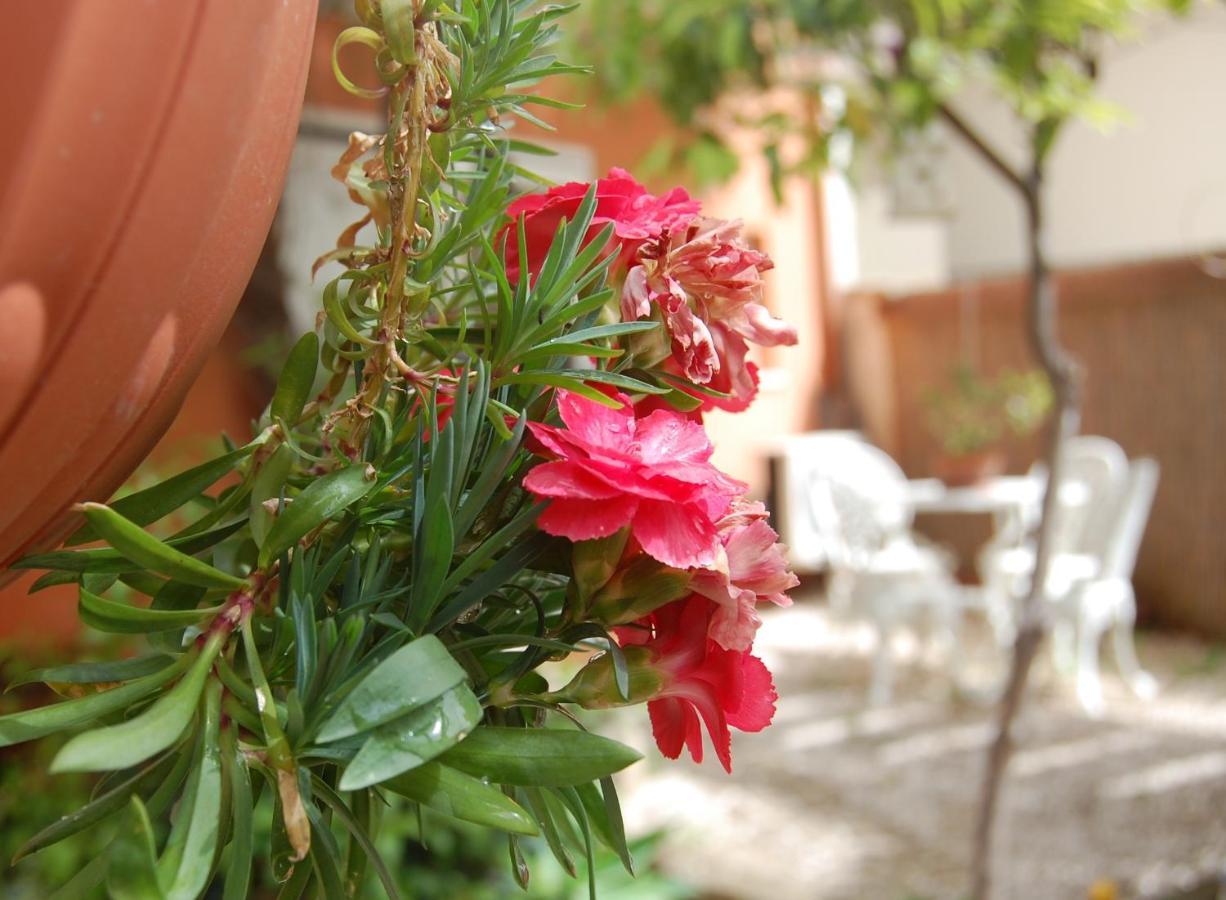 Casa Satta 1925 Hotell Olbia Eksteriør bilde